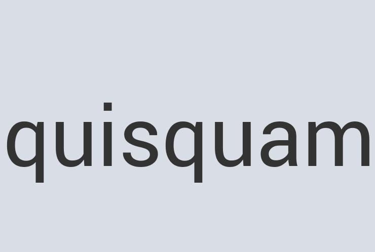 Practical Wool Que West