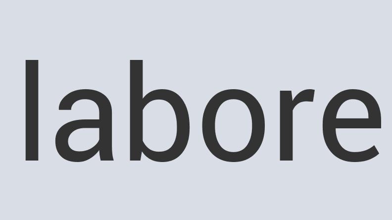 Heavy Duty Granite Bran Dandy