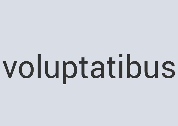 Small Marble Ultra Beef