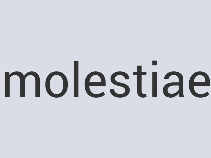 Durable Wooden Good Woody Two Shoes