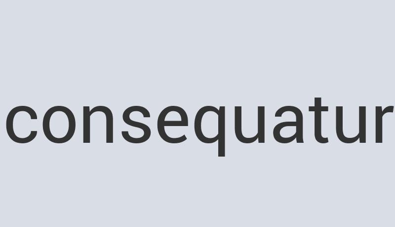 Sleek Aluminum Brunchilli